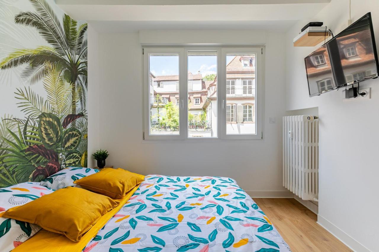 Strasbourg Centre / Krutneau Apartman Kültér fotó